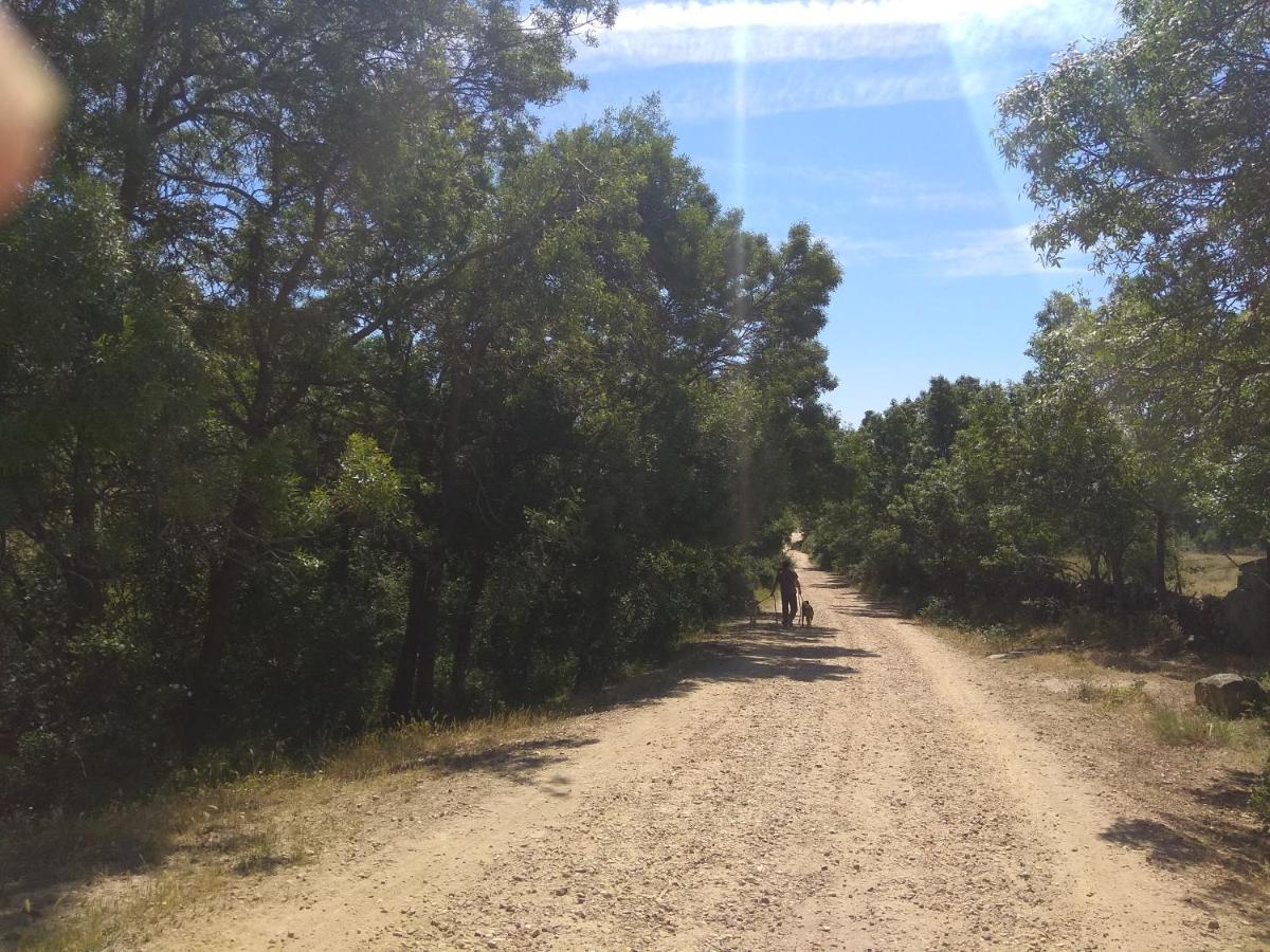 Acogedora Casa Rural En La Sierra De Madrid Mataelpino Eksteriør billede