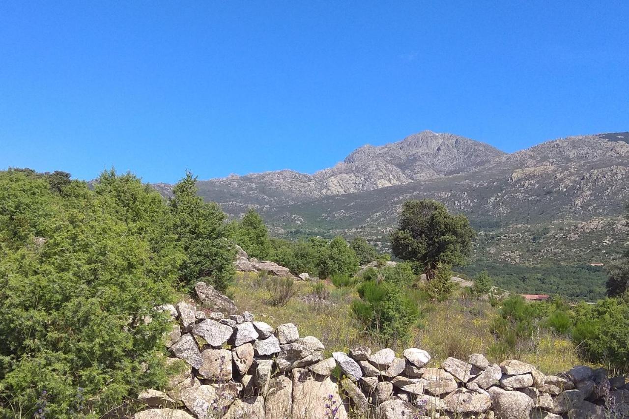 Acogedora Casa Rural En La Sierra De Madrid Mataelpino Eksteriør billede
