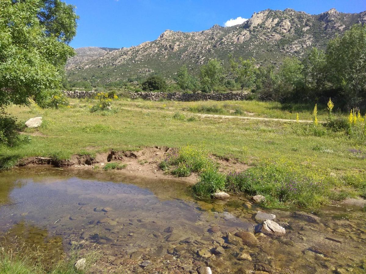 Acogedora Casa Rural En La Sierra De Madrid Mataelpino Eksteriør billede