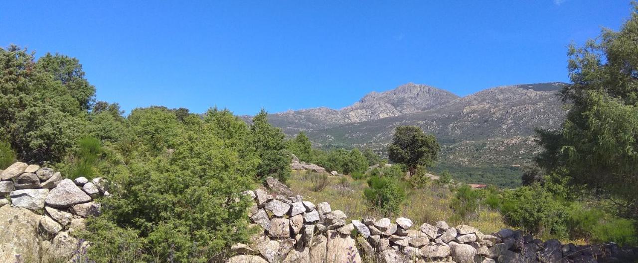 Acogedora Casa Rural En La Sierra De Madrid Mataelpino Eksteriør billede